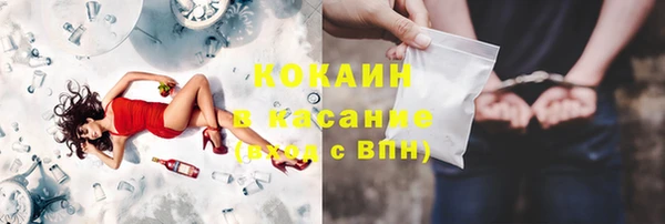сатива Армянск