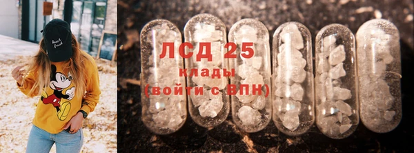 сатива Армянск