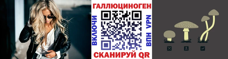 shop состав  Туран  Галлюциногенные грибы MAGIC MUSHROOMS 